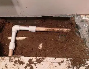 获嘉测漏水哪家好