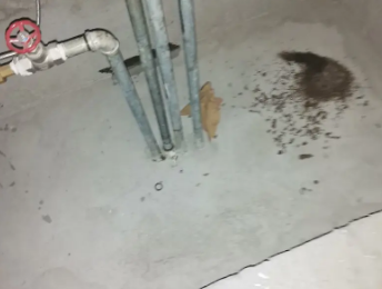 获嘉卫生间测漏水价格明细